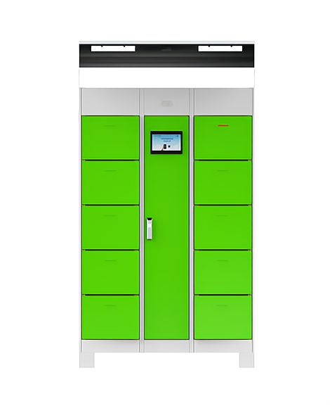 10 warehouse shared electric car flushing cabinet